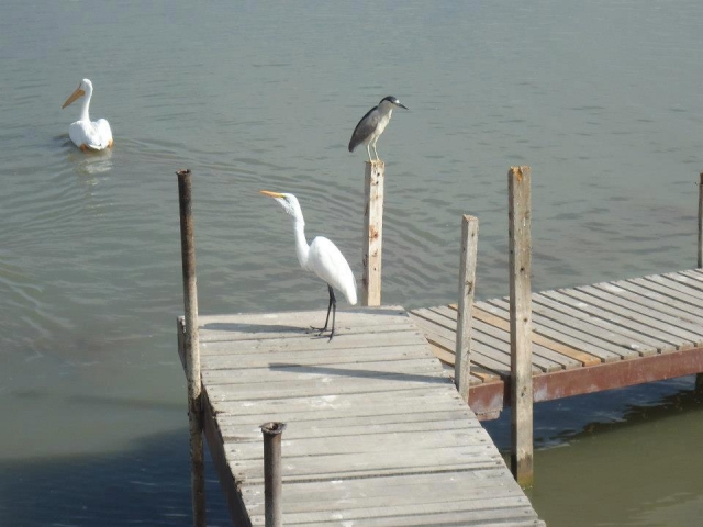 Lake front